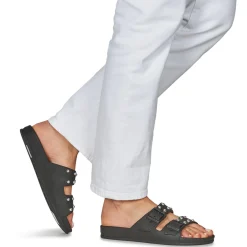 Cacatoès - FLORIANOPOLIS Noir New