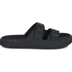 Hot Cacatoès - JESSY Noir