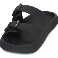 Hot Cacatoès - JESSY Noir