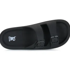 Hot Cacatoès - JESSY Noir