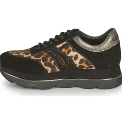 Café Noir - BORDA Best