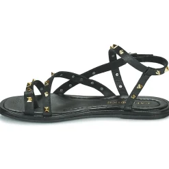 Café Noir - C1GD1040 Noir New