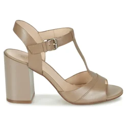 Café Noir - GIMOTTI