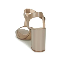 Café Noir - GIMOTTI