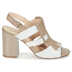 Best Café Noir - GONFERT