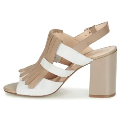 Best Café Noir - GONFERT