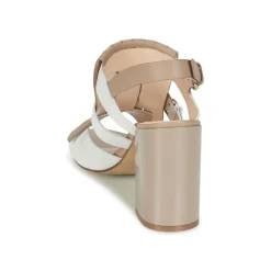 Best Café Noir - GONFERT