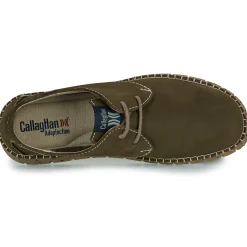 CallagHan - 84702.5 Marron Sale