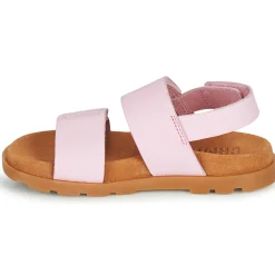 Camper - BRTS Rose Best