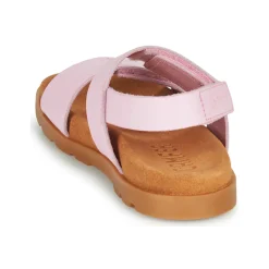 Camper - BRTS Rose Best