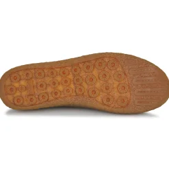 Best Camper - PEU TERRENO