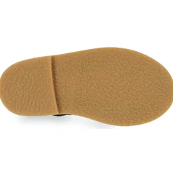 Online Camper - SAVFW Marine