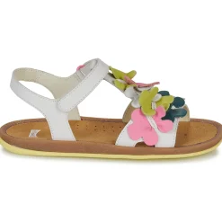 Sale Camper - TWSS Argent