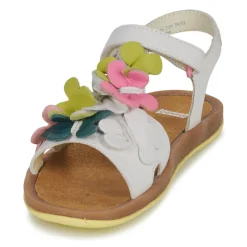 Sale Camper - TWSS Argent