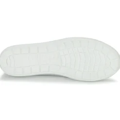 Clearance Caprice - BUSCETI