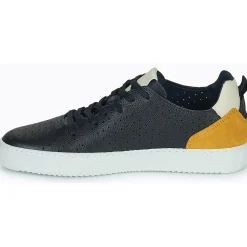 Carlington - FREDDI Marine New