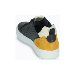 Carlington - FREDDI Marine New