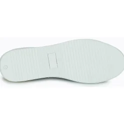 Carlington - FREDDI Marine New