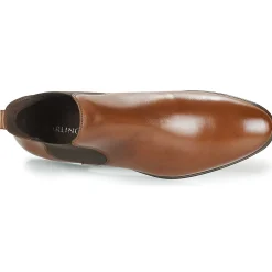 Carlington - JEVITA Marron