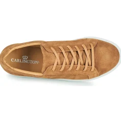 Carlington - SERIAL Marron Outlet