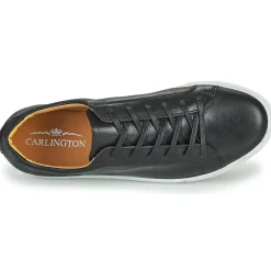 Carlington - SERIAL Noir