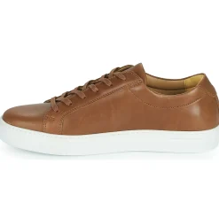 New Carlington - SERIAL Marron