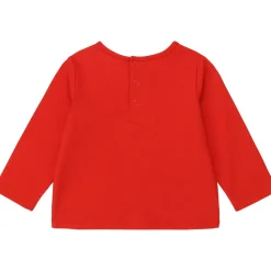 Carrément Beau - Y95252