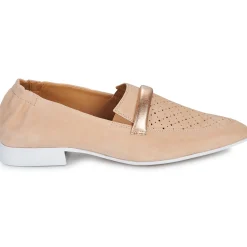 Best Casta - QANVA Camel