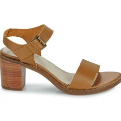 Casual Attitude - CAILLE Marron Hot