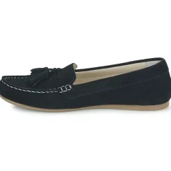 New Casual Attitude - GATOE Marine