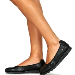 Casual Attitude - HOLMES Noir New