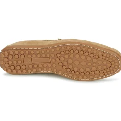 Casual Attitude - IMOPA