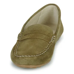 Casual Attitude - ISAWA Kaki Outlet