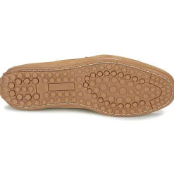 Casual Attitude - JALAYAREI