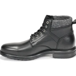 Casual Attitude - NAPILLON