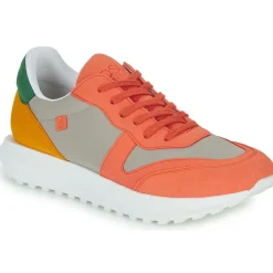 Casual Attitude - STRANI Gris New