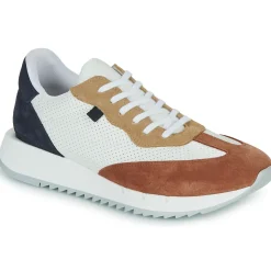 Casual Attitude - TILDO