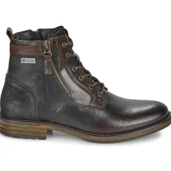 Casual Attitude - TYLIO