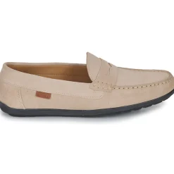 Casual Attitude - VELMO Beige New