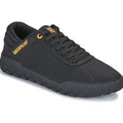 Hot Caterpillar - HEX + CANVAS Noir