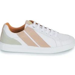 Caval - OG SLASH Online