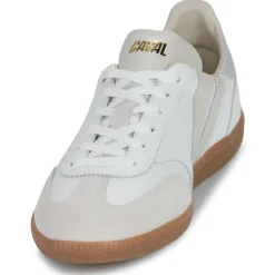 Caval - PULSE Outlet