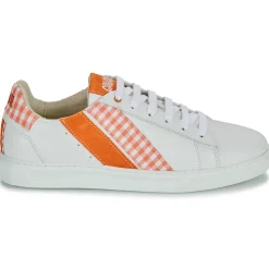 Caval - SLASH Online