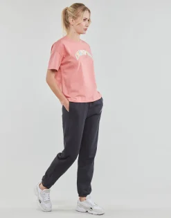 Outlet Champion - 115190 Rose