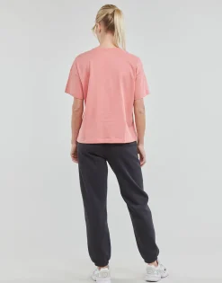 Outlet Champion - 115190 Rose