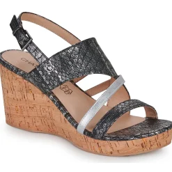 New Chattawak - COLOMA