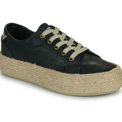 Chattawak - PACO Noir New