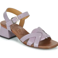 New Chie Mihara - QUAURA Violet