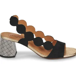 Chie Mihara - ROKA Outlet