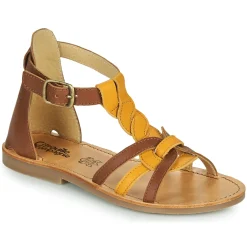 Citrouille et Compagnie - GITANOLO